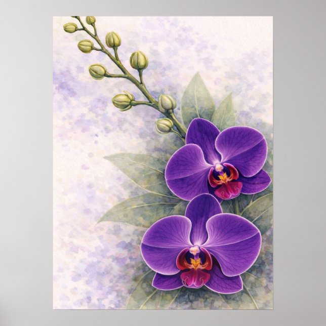 Purple Orchid Duo Flower Botanical  Poster (Framsidan)