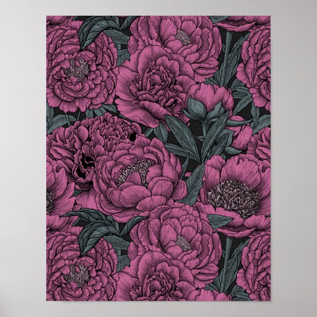 Purple peony flowers poster (Framsidan)