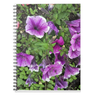 Purple Petunia Flowers Nature Photography Notebook Anteckningsbok