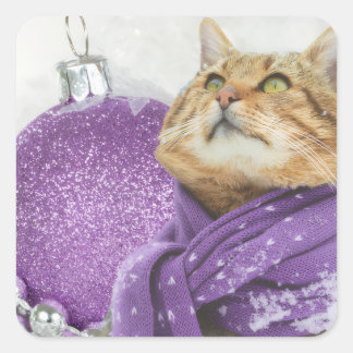 Purple Scarf Winter Cat Stickers Fyrkantigt Klistermärke