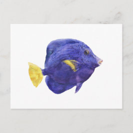 Purple Tang Fish Watercolor Illustration Vykort