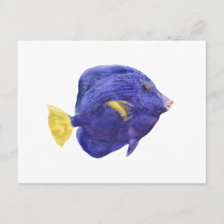 Purple Tang Fish Watercolor Illustration Vykort