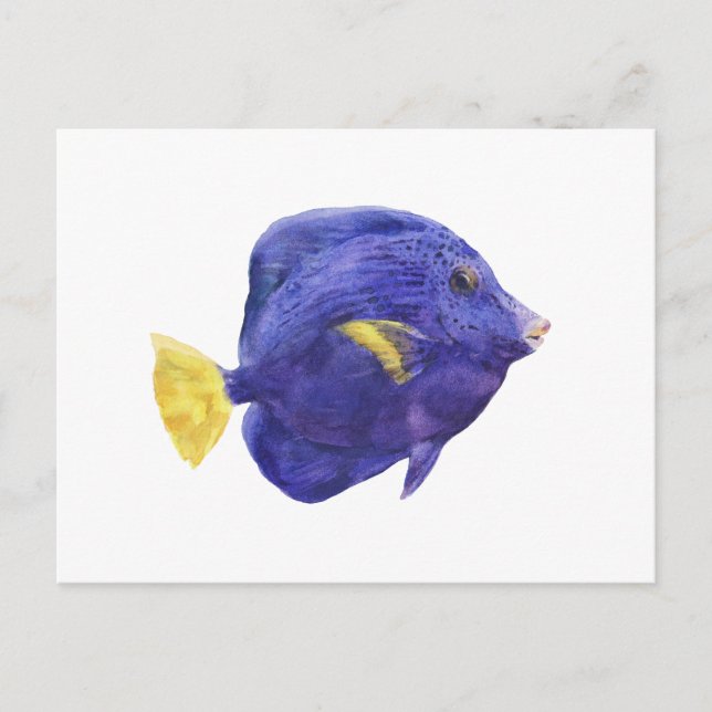 Purple Tang Fish Watercolor Illustration Vykort (Framsida)