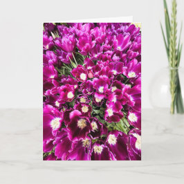 Purple Tulips Blank Card Inbjudan