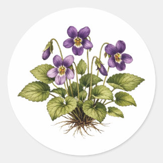 Purple Violet Vintage Style Botanical  Runt Klistermärke