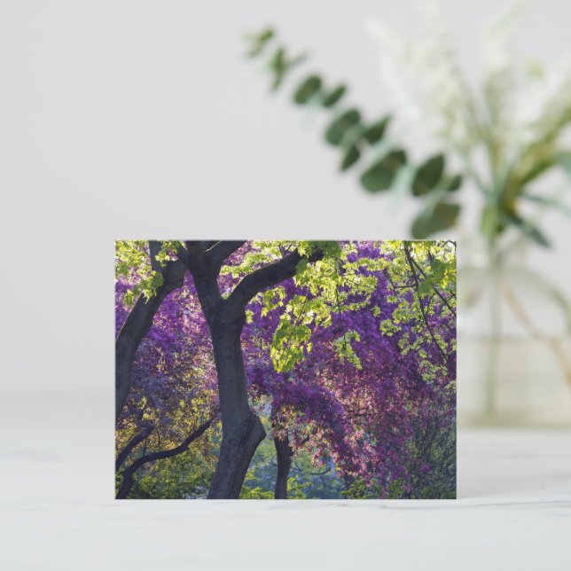 Purple  vykort (Stående Fram)