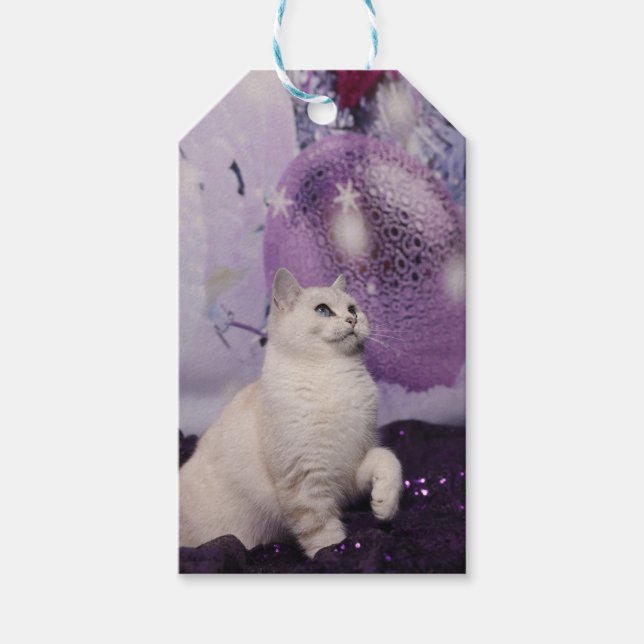 Purple XMAS Cat Presentetikett (Framsidan)