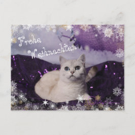 Purple XMAS Cats Helg Vykort