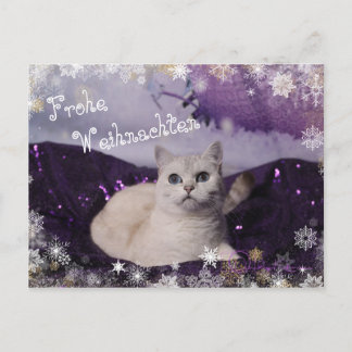 Purple XMAS Cats Helg Vykort