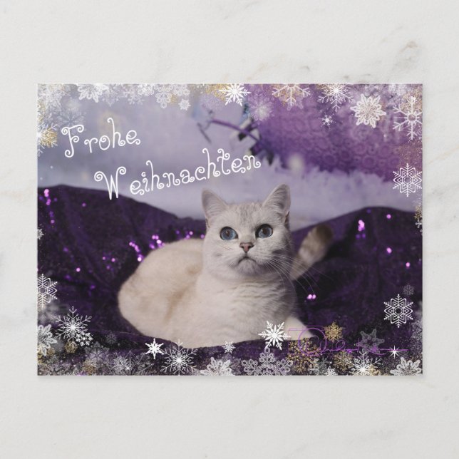 Purple XMAS Cats Helg Vykort (Framsida)