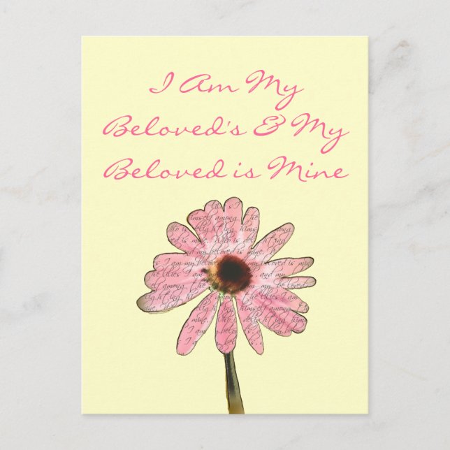 purpleconeflowerälskade3 vykort (Framsida)