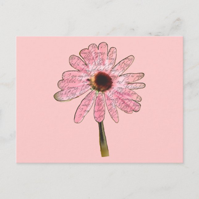 purpleconeflowerälskade3 vykort (Framsida)