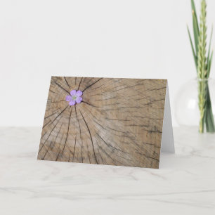 PurpleflowerinTrunk Kort