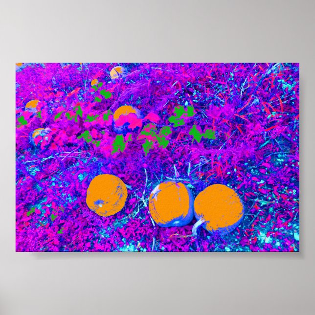 Purplish Pumpkin Fält i Pop Art Stil Poster (Framsidan)