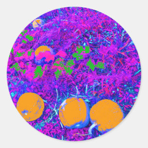 Purplish Pumpkin Fält i Pop Art Stil Runt Klistermärke