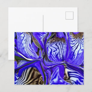 Purpur Iris Blomma Vykort