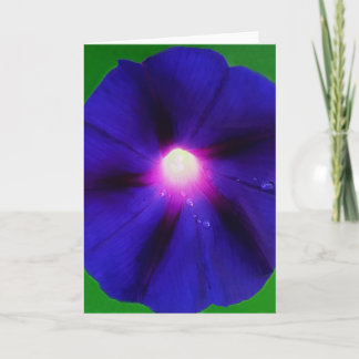 Purpur Morgonståndsblomma Kort