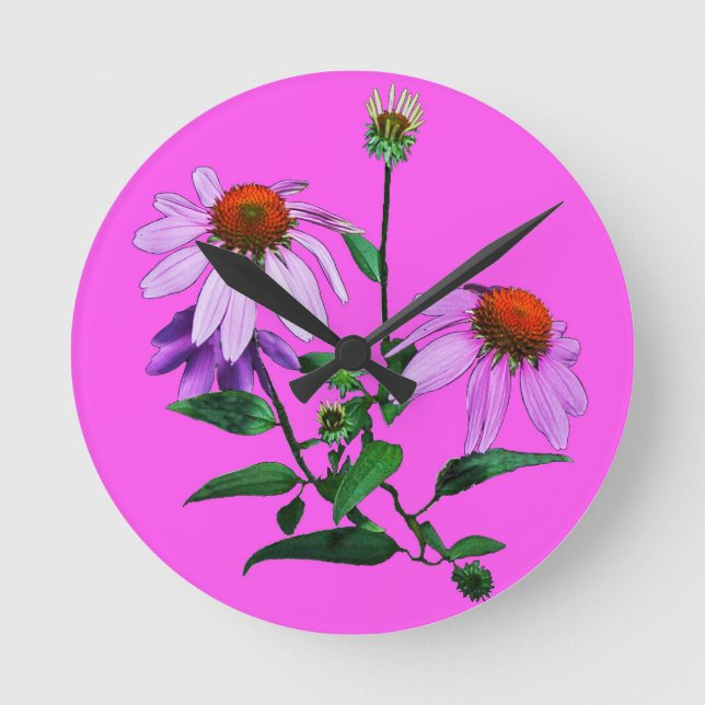 Purpur Rudbeckia På Rosa Rund Klocka (Framsida)