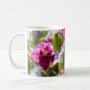 Purpurfärgad afrikansk Violet Kaffemugg