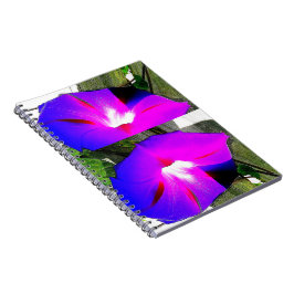 Purpurfärgad anteckningsbok för spiral för