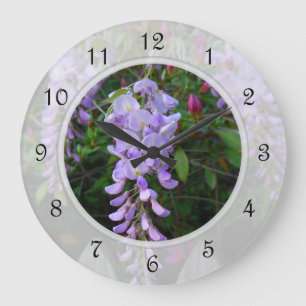 Purpurfärgad blommarVine för Wisteria Stor Klocka
