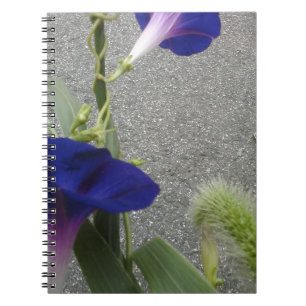 Purpurfärgad blommigt anteckningsbok med spiral