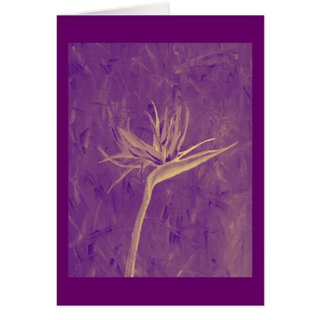 Purpurfärgad fågel av paradiset hälsningskort (Framsidan)