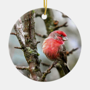 Purpurfärgad Finch Julgransprydnad Keramik