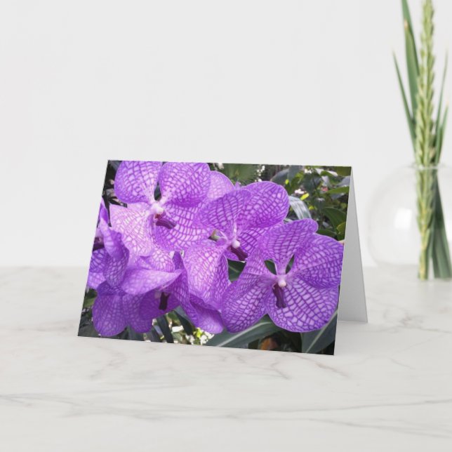 Purpurfärgad härlighet i Giverny, frankrike Kort (Framsida)