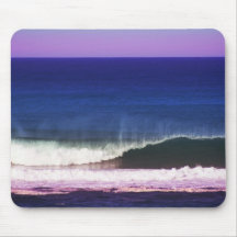 Purpurfärgad havsamling