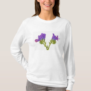 Purpurfärgad huggormbugloss (echiumplantagineumen tee