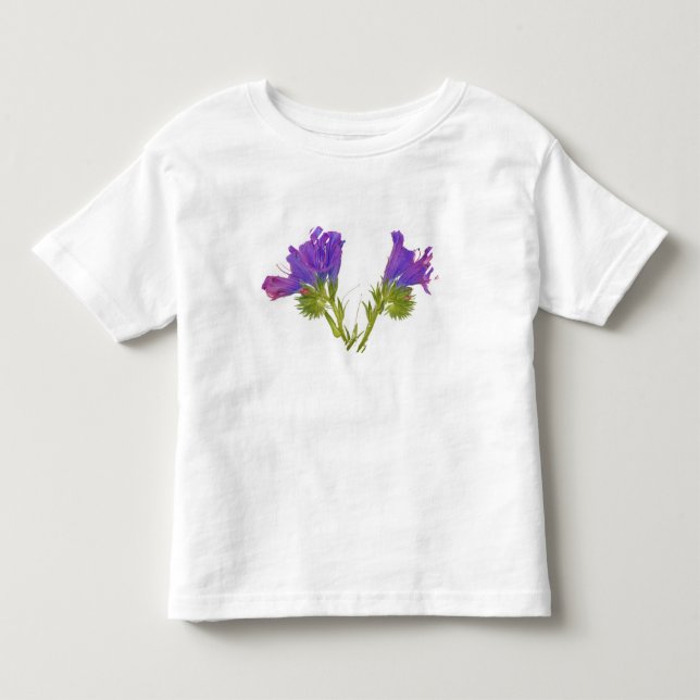 Purpurfärgad huggormbugloss (echiumplantagineumen) tee shirt (Framsida)