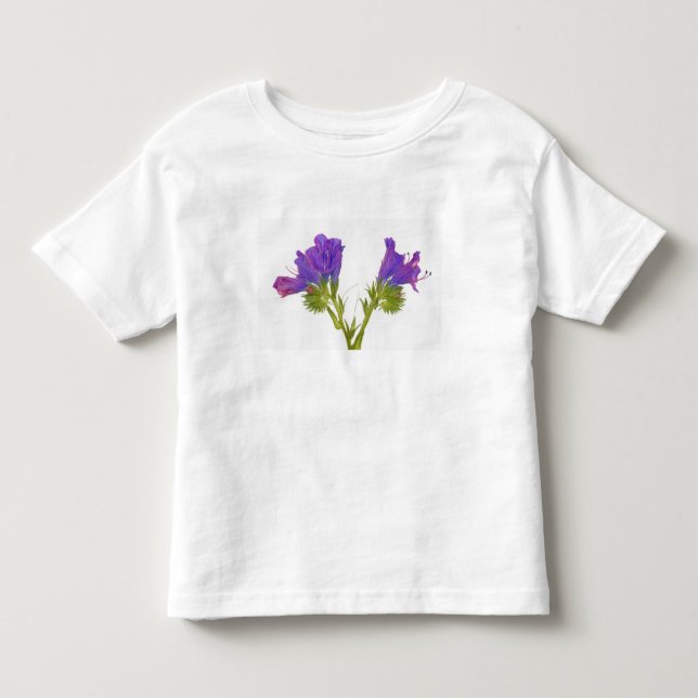 Purpurfärgad huggormbugloss (echiumplantagineumen) tee shirt (Framsida)