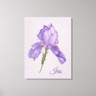 Purpurfärgad Iris, botanisk stil, färgpennakonst Canvastryck