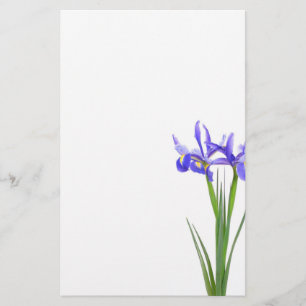 Purpurfärgad Iris Brevpapper