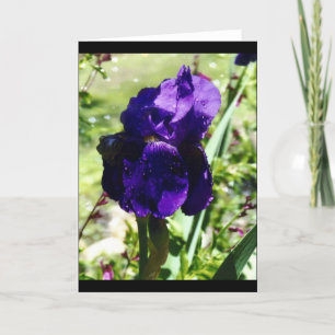Purpurfärgad Iris Kort