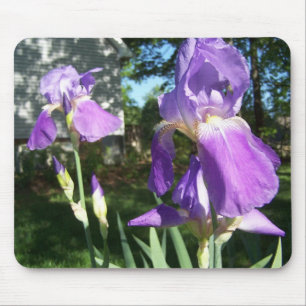 Purpurfärgad Iris Mousepad Musmatta
