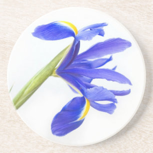 Purpurfärgad Irisblomma Underlägg Sandsten
