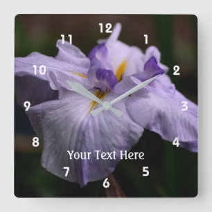 Purpurfärgad japansk Irisblomma Fyrkantig Klocka