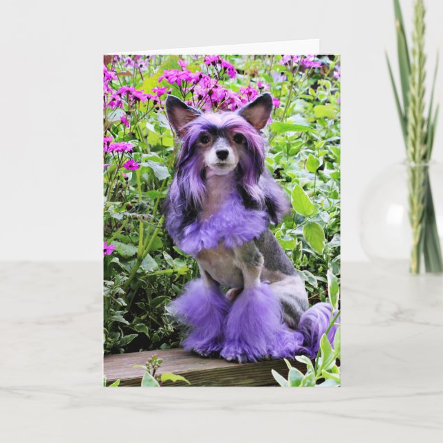 Purpurfärgad kines krönad hund i rosa blommor kort (Framsida)