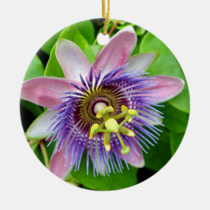 Purpurfärgad Lilikoi passionblomma, julprydnad Julgransprydnad Keramik