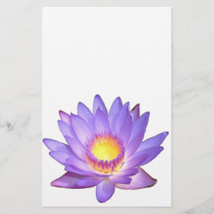 Purpurfärgad lotusblommablommabrevpapper brevpapper