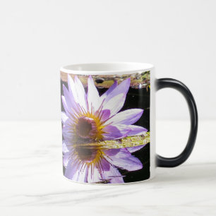 Purpurfärgad näckrosblomma i blommar magisk mugg
