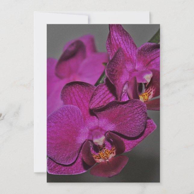 Purpurfärgad Orchid Inbjudningar (Framsida)