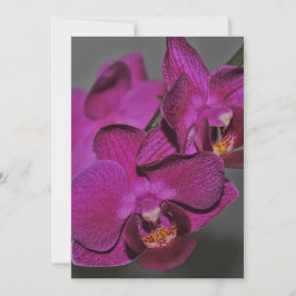Purpurfärgad Orchid Inbjudningar
