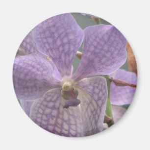 Purpurfärgad Orchid Magnet