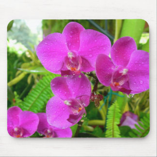 Purpurfärgad Orchid Musmatta