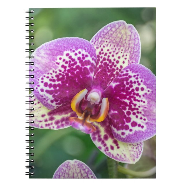 Purpurfärgad orchidanteckningsbok anteckningsbok (Framsidan)