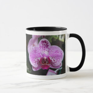 Purpurfärgad Orchiddubbla med gränsRingermuggen Mugg