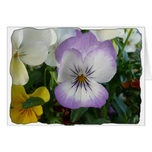purpurfärgad pansy hälsningskort